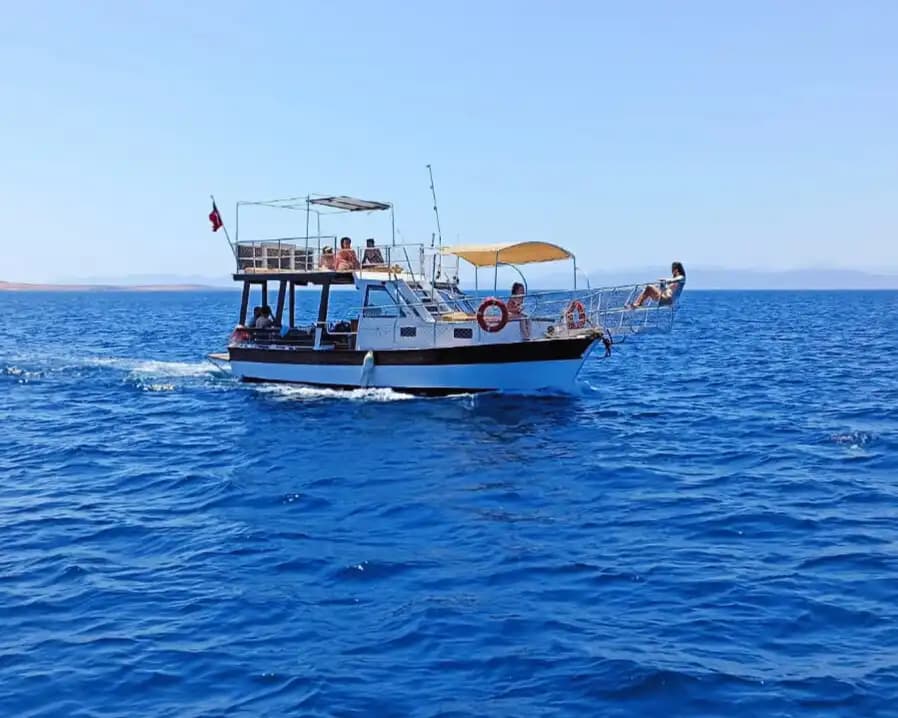 Ayvalık’ta Ekonomik 12 Kişiye Kadar Kapasiteli Tekne Gezi ve Yüzme İçin İdeal 8