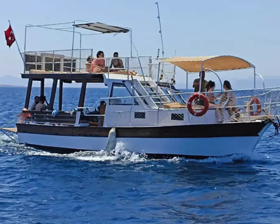 Ayvalık’ta Ekonomik 12 Kişiye Kadar Kapasiteli Tekne Gezi ve Yüzme İçin İdeal 7