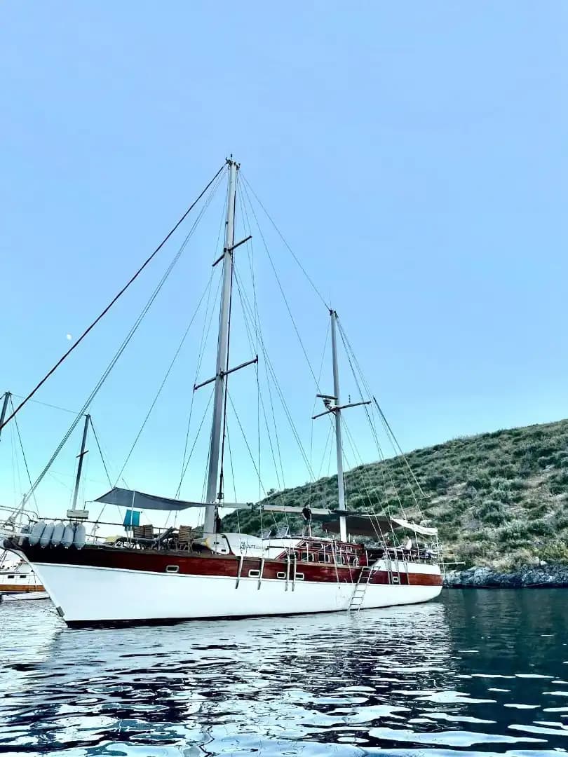 Bodrum'un Büyüleyici Koylarında, 24 Metre, 3 Kabinli Konforlu Gulet 12