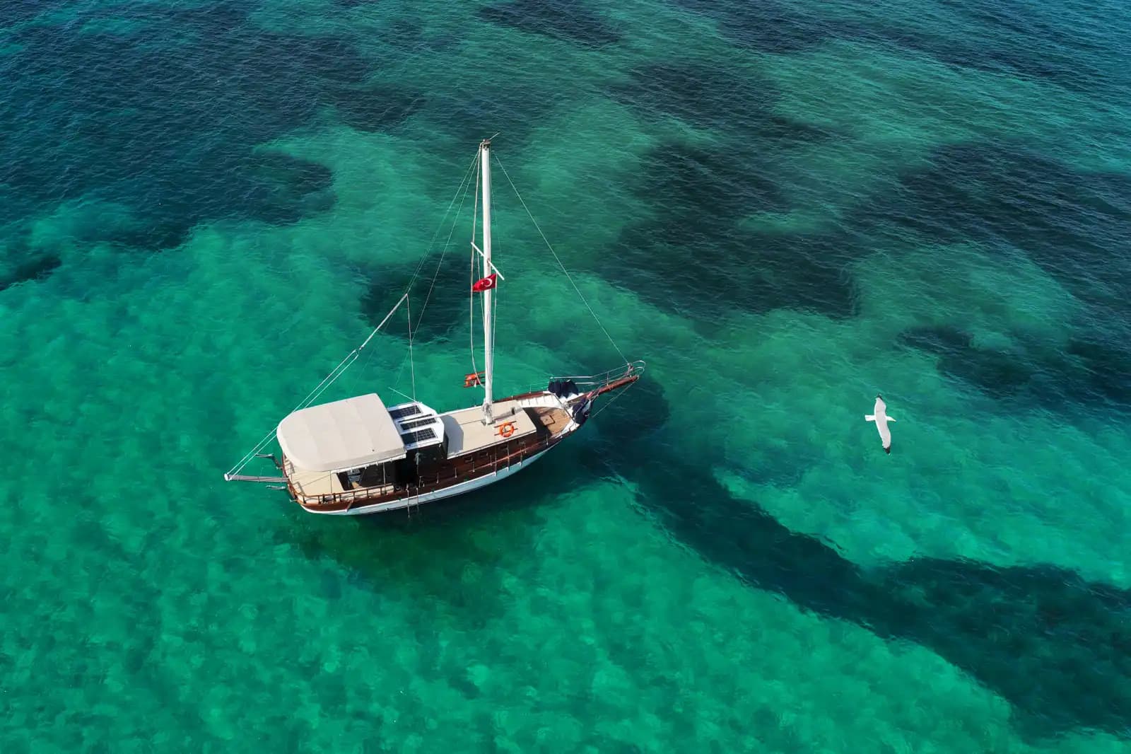 Kuşadası’nda Özel Tekne ile Dünya'nın En Güzel Koylarını Keşfet! 8